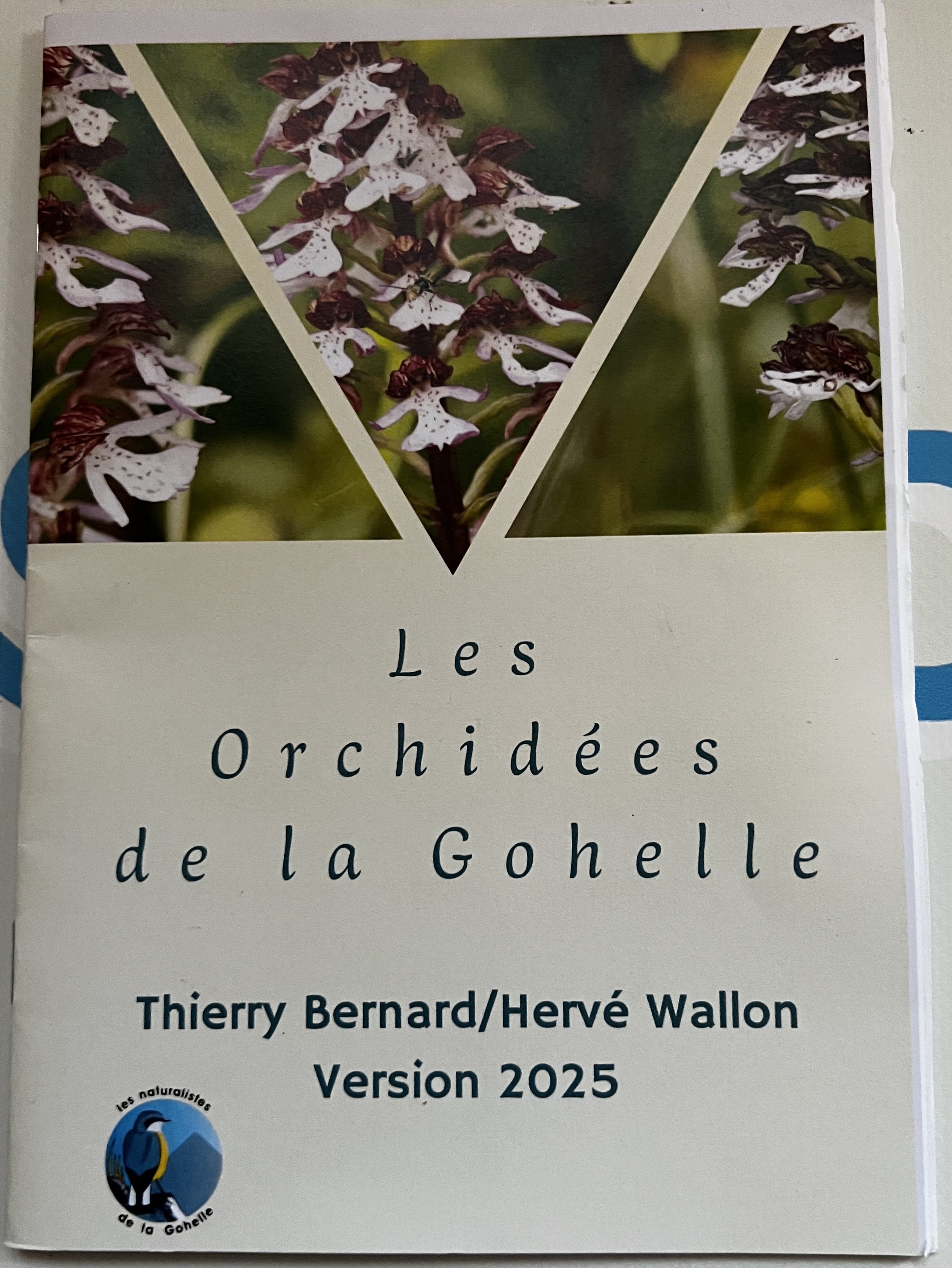 Photo de Livret Orchidées de la Gohelle